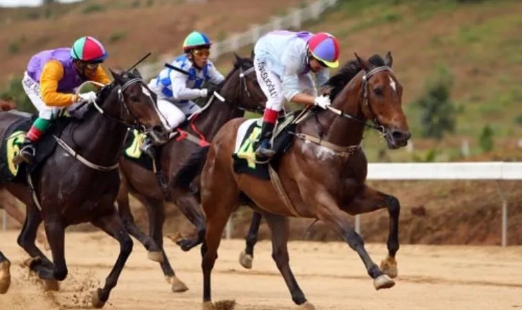 Bí Mật Kiếm 500 Triệu Từ Cá Cược Đua Ngựa G88 Ít Ai Dám Tiết Lộ 2 Các giải Đua Ngựa nổi tiếng có thể cá cược tại G88