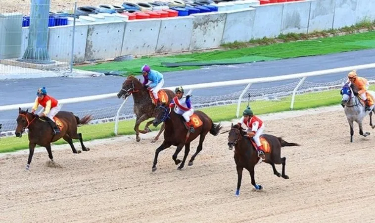 Bí Mật Kiếm 500 Triệu Từ Cá Cược Đua Ngựa G88 Ít Ai Dám Tiết Lộ 6 Đua Ngựa G88