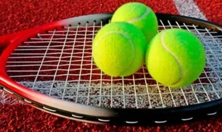 Cá Cược Quần Vợt G88: Cách Đặt Cược Kiếm 500 Triệu Từ Chuyên Gia 7 Quần Vợt G88