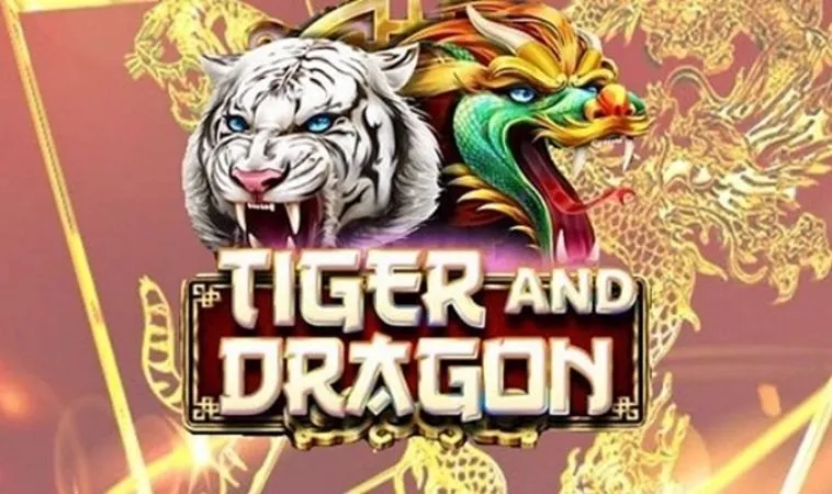 Chiến Thuật Dragon Tiger Tại G88 Giúp Tân Thủ Thắng 89% Trận Đấu 5 Dragon Tiger Tại G88